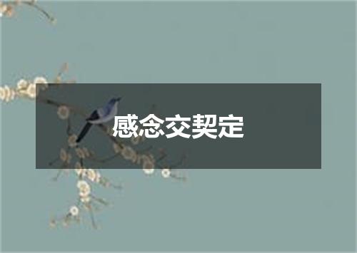 感念交契定