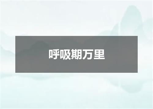 呼吸期万里