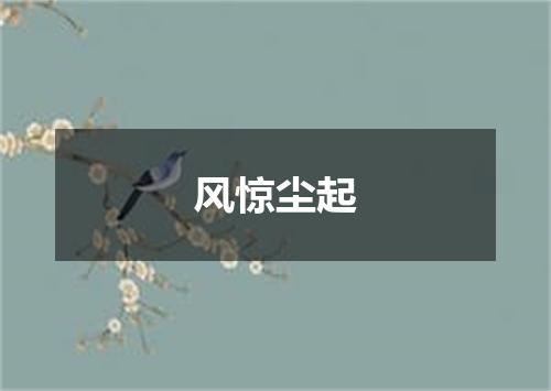 风惊尘起