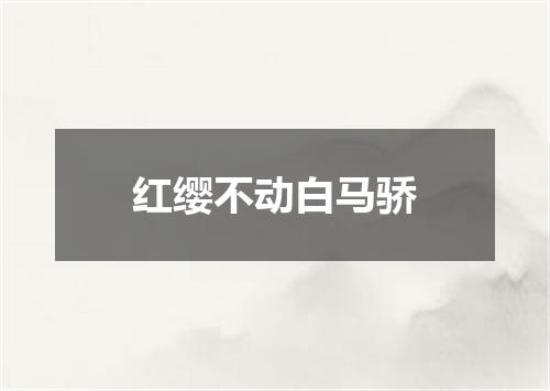 红缨不动白马骄
