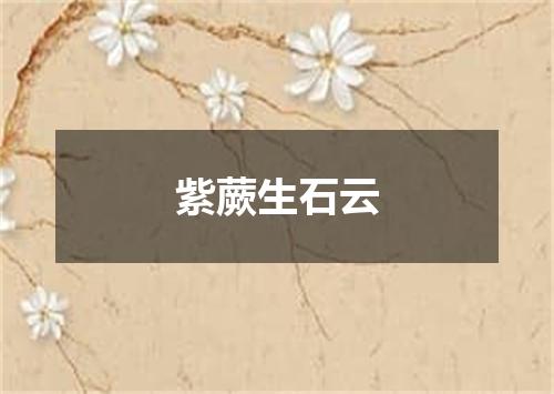 紫蕨生石云