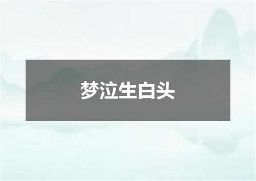 梦泣生白头