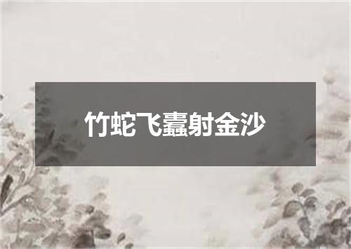 竹蛇飞蠹射金沙