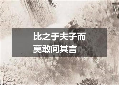 比之于夫子而莫敢间其言