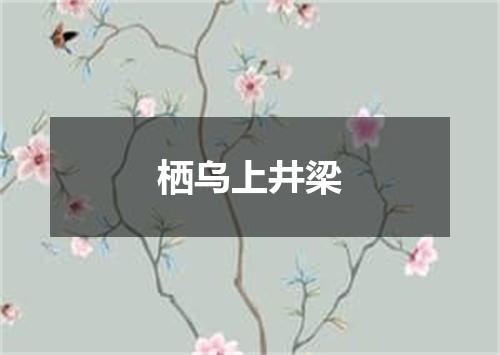 栖乌上井梁