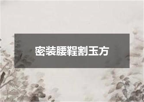 密装腰鞓割玉方