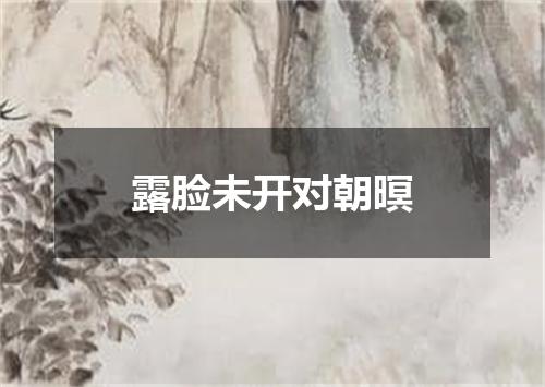 露脸未开对朝暝