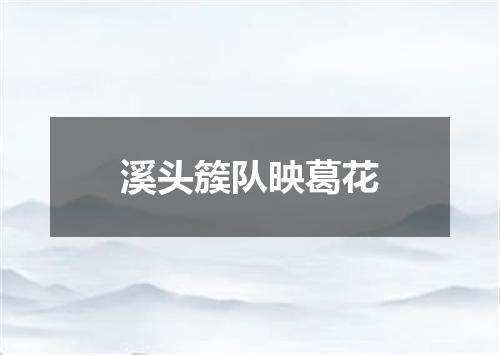 溪头簇队映葛花