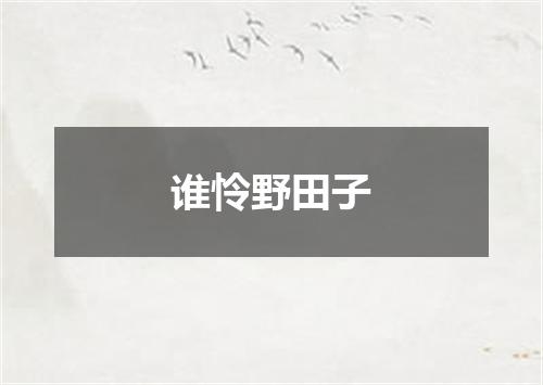 谁怜野田子