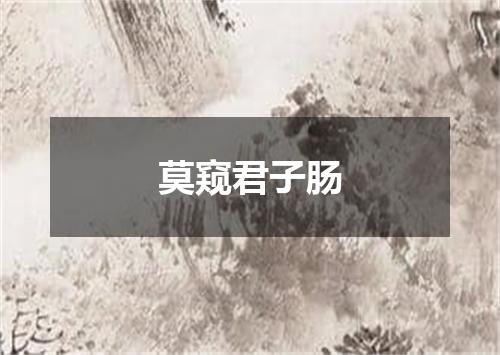 莫窥君子肠