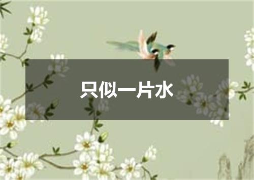 只似一片水