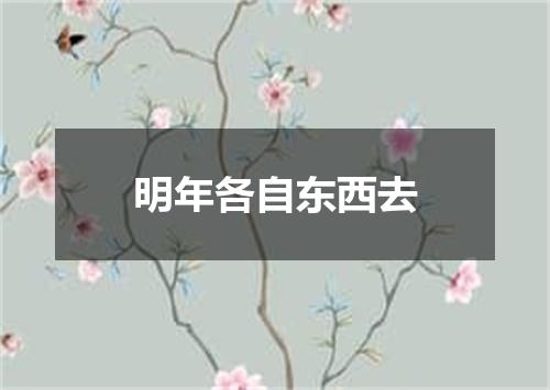 明年各自东西去