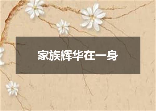 家族辉华在一身