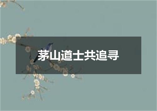 茅山道士共追寻