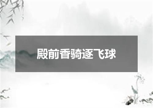 殿前香骑逐飞球