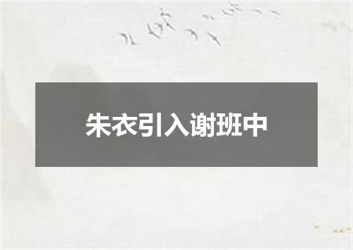 朱衣引入谢班中