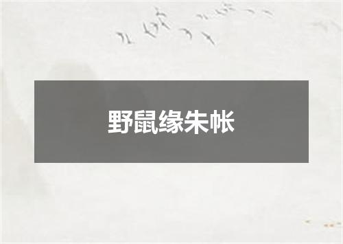 野鼠缘朱帐