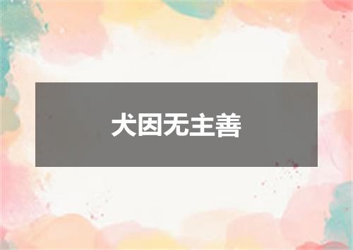 犬因无主善