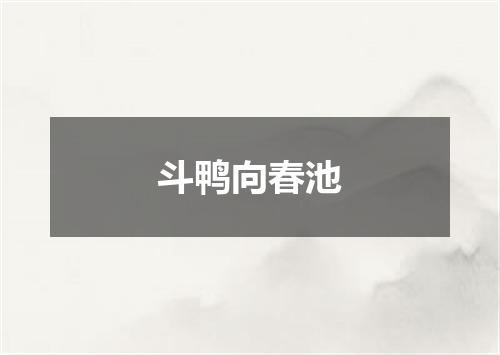 斗鸭向春池