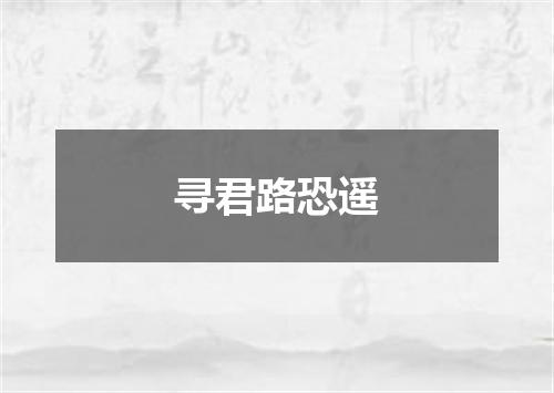 寻君路恐遥