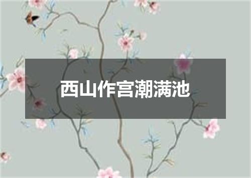 西山作宫潮满池