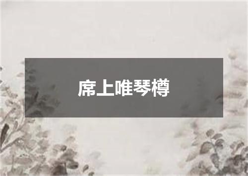 席上唯琴樽