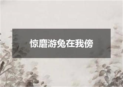 惊麏游兔在我傍