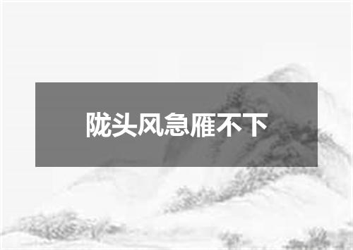 陇头风急雁不下