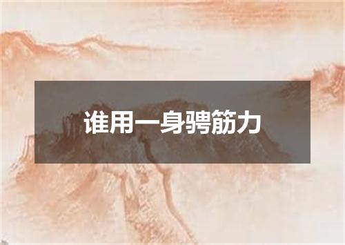 谁用一身骋筋力