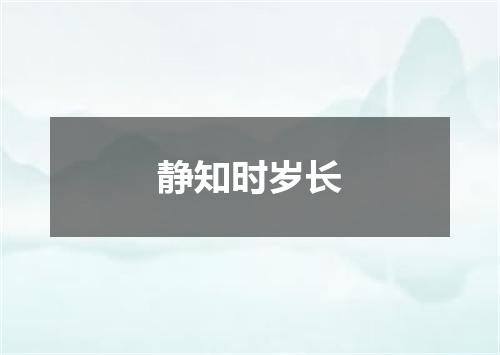 静知时岁长