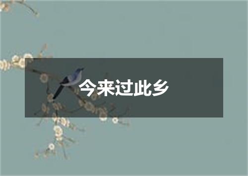 今来过此乡