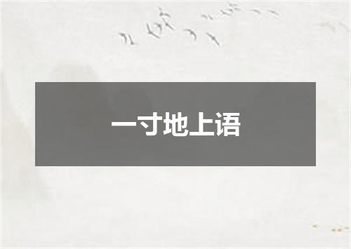 一寸地上语