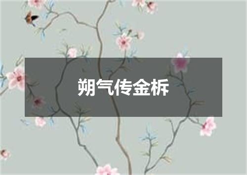 朔气传金柝