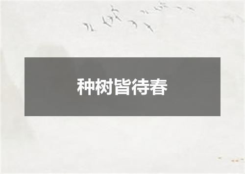 种树皆待春