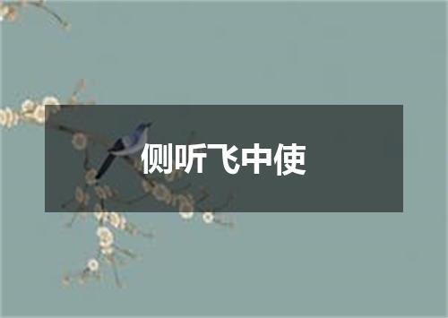 侧听飞中使