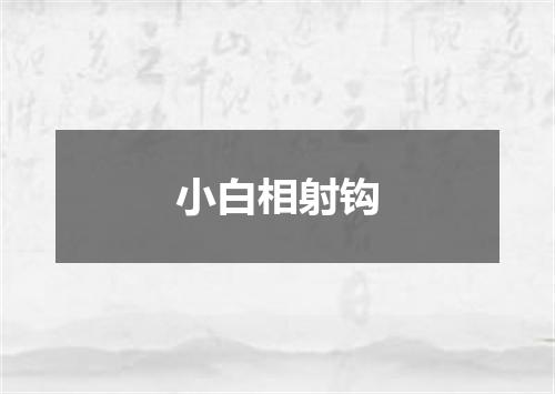 小白相射钩