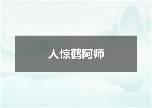人惊鹤阿师
