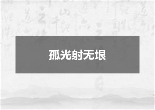 孤光射无垠