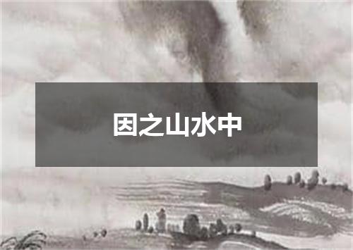 因之山水中