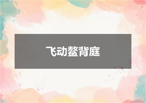 飞动鳌背庭