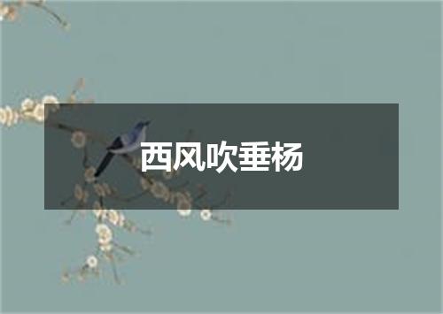 西风吹垂杨