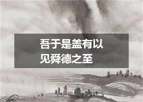 吾于是盖有以见舜德之至