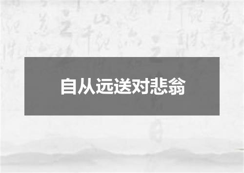 自从远送对悲翁