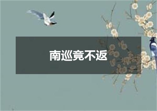 南巡竟不返