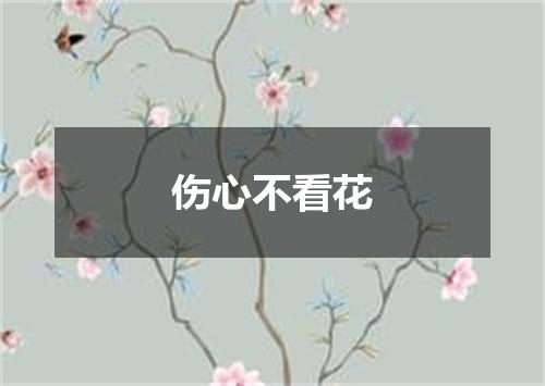伤心不看花