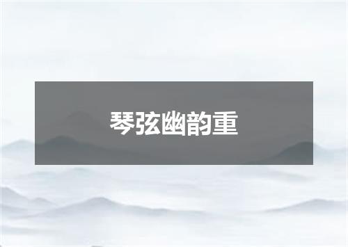 琴弦幽韵重