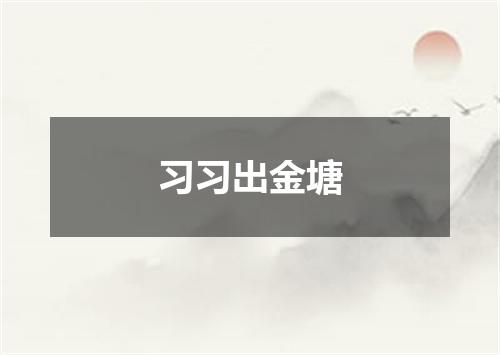 习习出金塘
