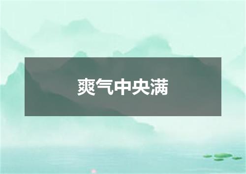 爽气中央满
