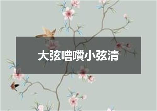 大弦嘈囋小弦清