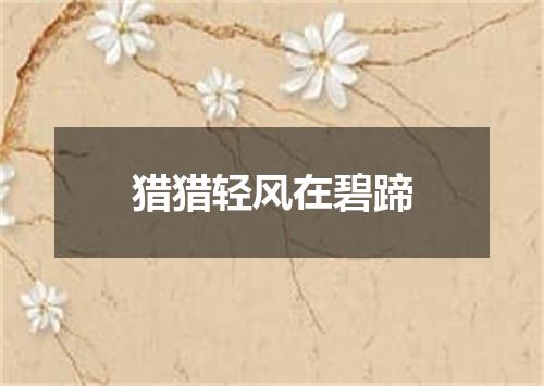 猎猎轻风在碧蹄